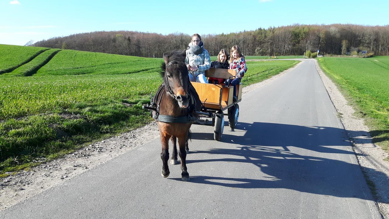 Ostsee Reetkate Langballig Exteriér fotografie